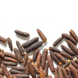 Dune Pepper (Alder Catkins) *limited quantities*