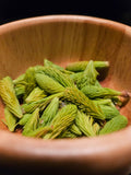 Spruce Tips
