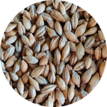 Chit Malt